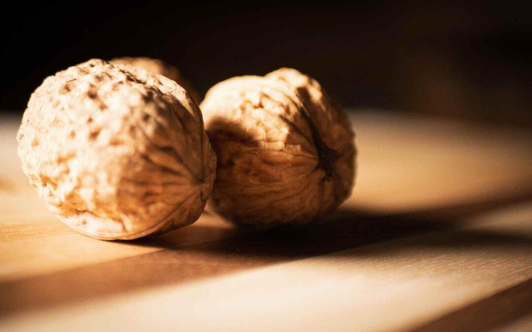 Schneidbrett online kaufen