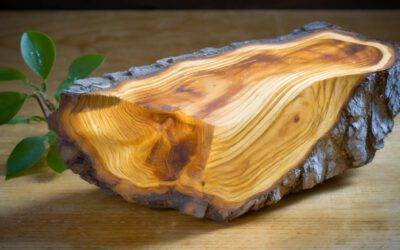 Schneidebrett Holz Empfehlung – Darum ist Esche die perfekte Wahl